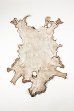 Lade das Bild in den Galerie-Viewer, Reh Rasierer