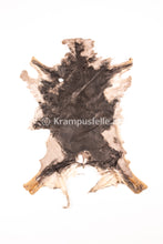 Lade das Bild in den Galerie-Viewer, Reh Rasierer