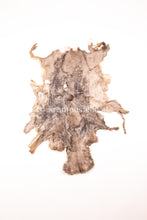 Lade das Bild in den Galerie-Viewer, Reh Rasierer