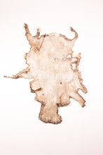 Lade das Bild in den Galerie-Viewer, Reh Rasierer