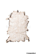 Lade das Bild in den Galerie-Viewer, Schaffell ausrasiert