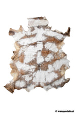 Lade das Bild in den Galerie-Viewer, Hirschrasierer