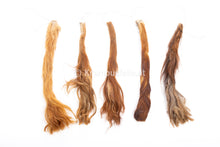 Lade das Bild in den Galerie-Viewer, Kuhschweif mit Knochen Natur