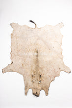 Lade das Bild in den Galerie-Viewer, Wildschweinfell