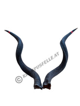 Lade das Bild in den Galerie-Viewer, Kudu Hörner