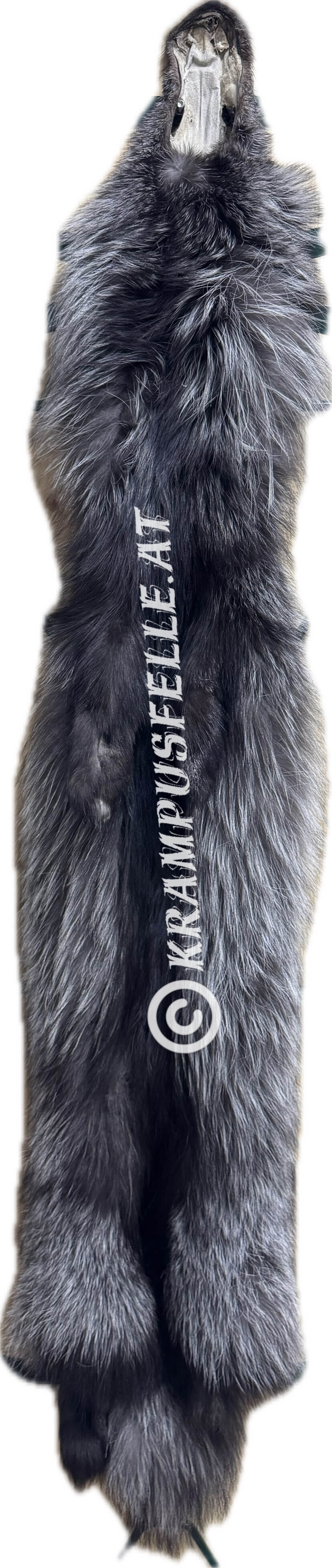 Blaufuchs