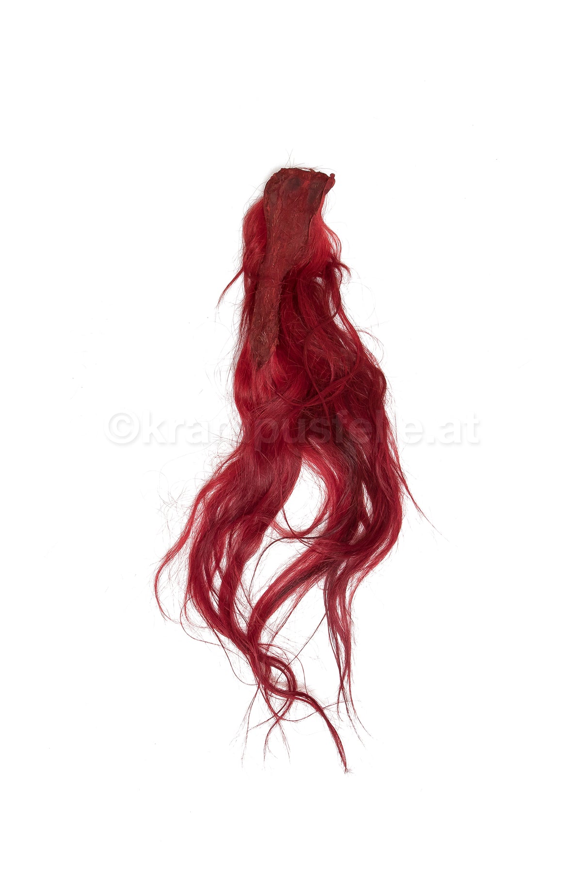 Pferdeschweif rot gefärbt