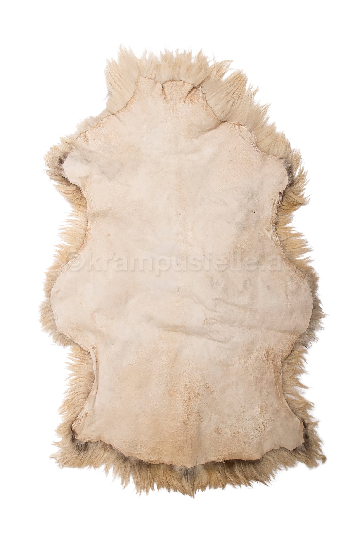 Heidschnuckenfell creme, Haarlänge 15 cm