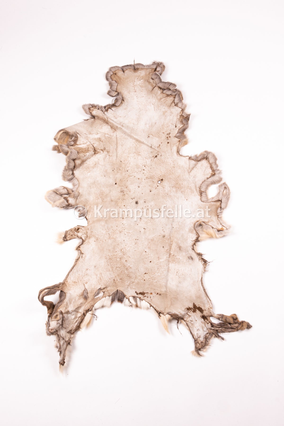 Reh Rasierer