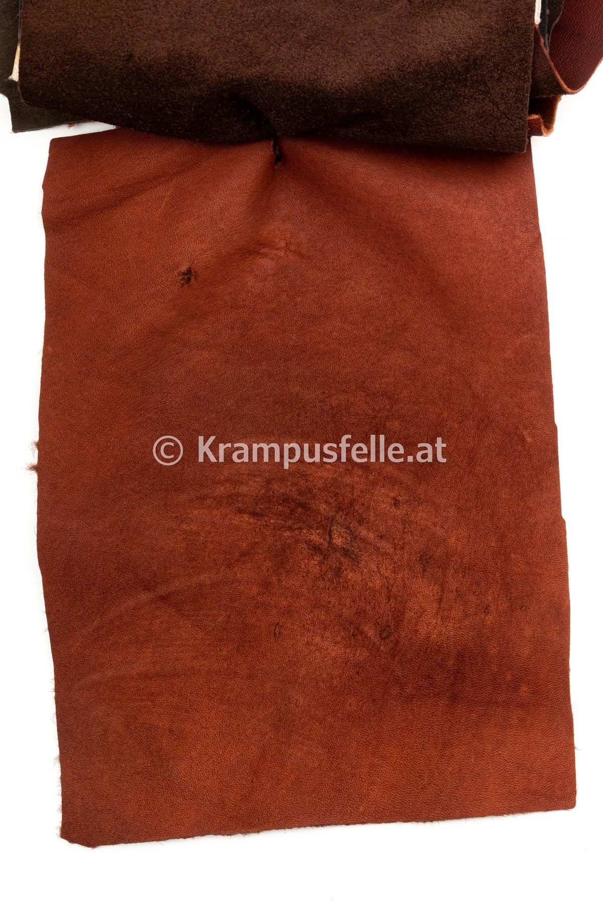 Leder Mustermappe