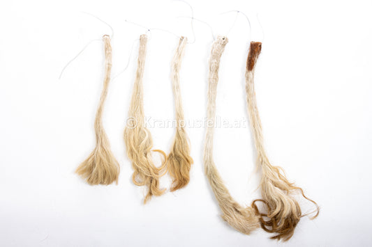 Kuhschweif mit Knochen Natur