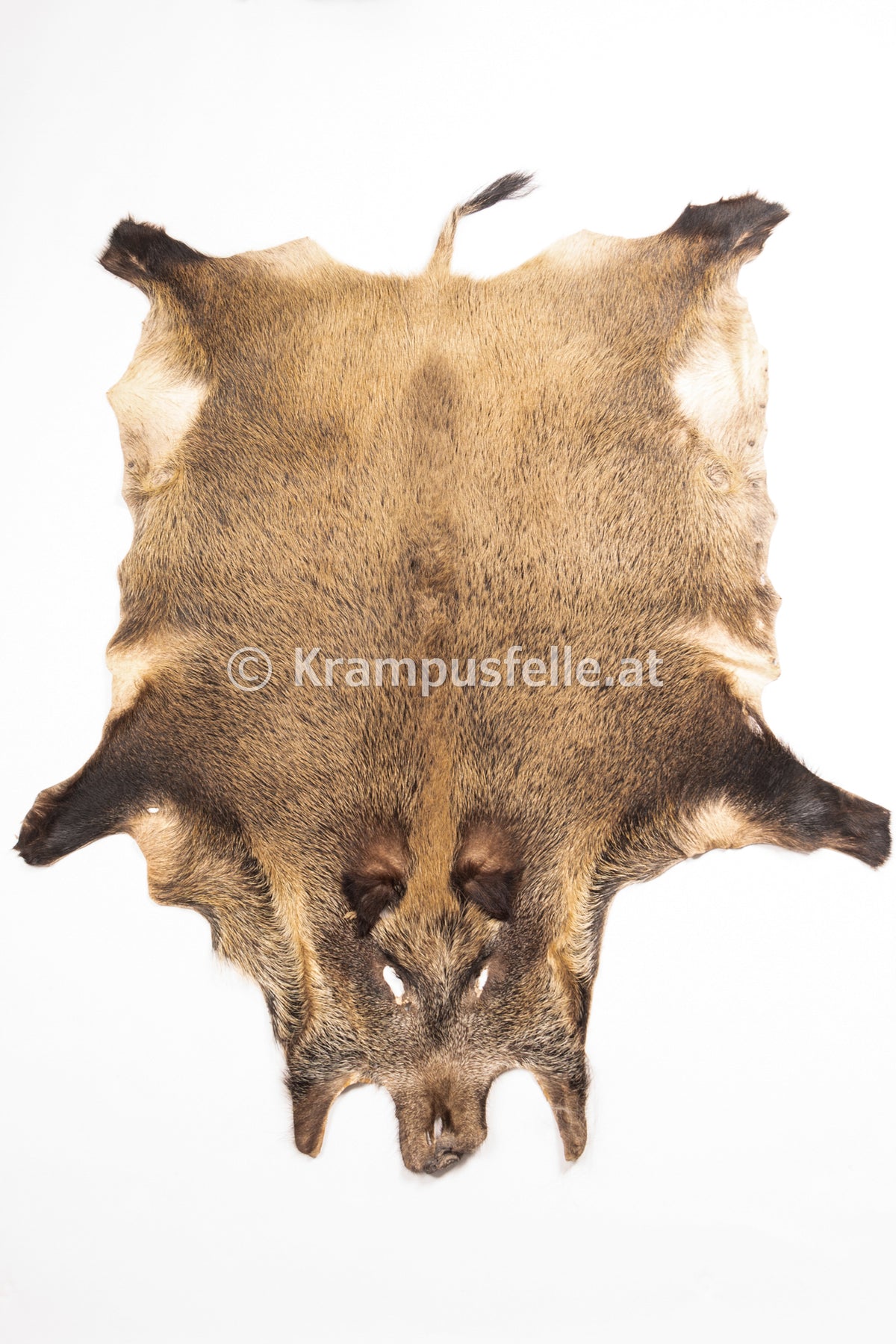 Wildschweinfell